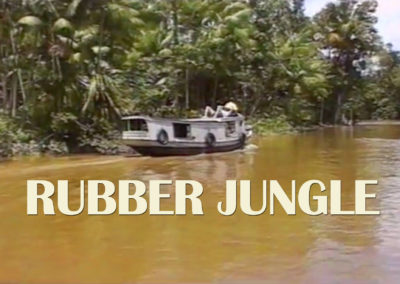 Rubber Jungle