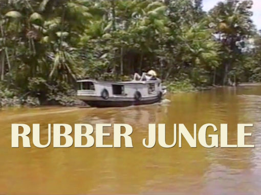 Rubber Jungle