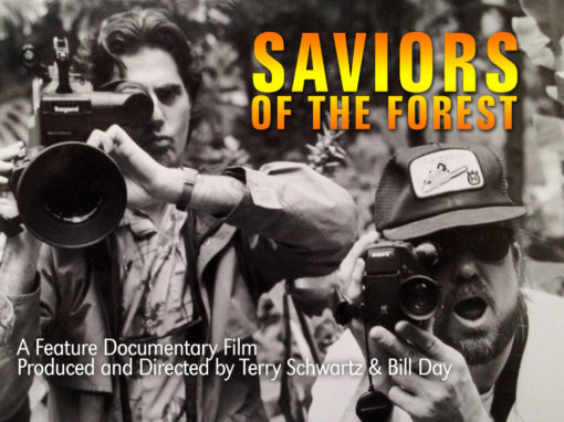 Saviors of The Forest